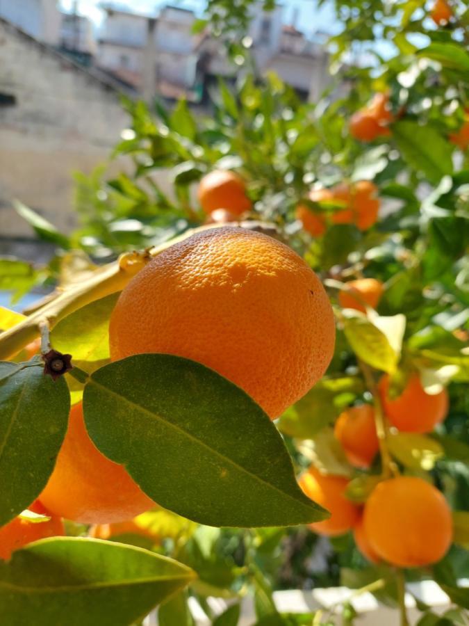 Orange Tree Apartment Asproválta Ngoại thất bức ảnh